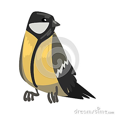 Cute Titmouse Bird, Beautiful Northern Birdie, Front View Vector Illustration Vector Illustration