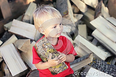 Cute toddler blond boy with aspen log on the pile of firewood background. Country lifestyle Stock Photo