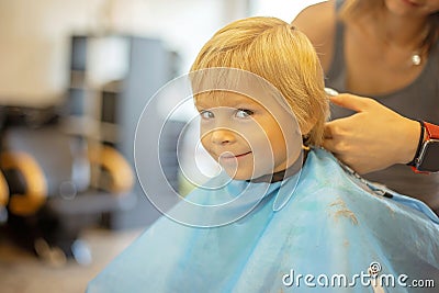 Cute toddler blond boy, having haircut in hairdresser salloon Stock Photo