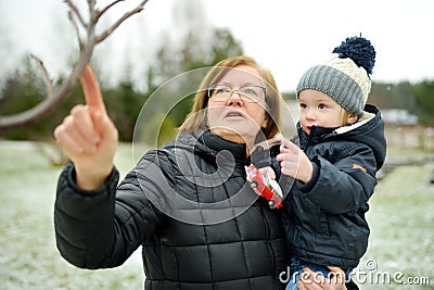 Cute toddler boy and his grandma having fun on a walk in snow covered pine forest on chilly winter day Stock Photo