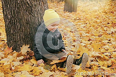 Cute toddler child boy sitting near huge maple tree in autumn park. Fall nature banner with copy space Stock Photo