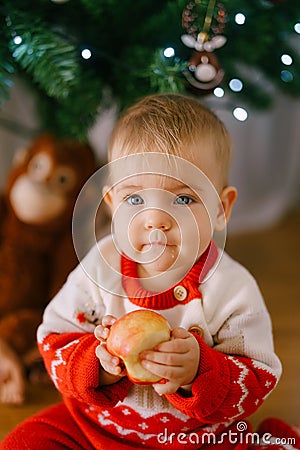 Cute toddler in a knitted Christmas costume is holding an apple in front of a Christmas tree Stock Photo