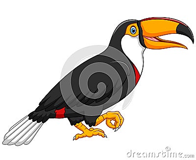 Cute toucan bird cartoon Vector Illustration