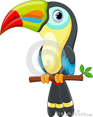 Cute toucan bird cartoon Stock Photo