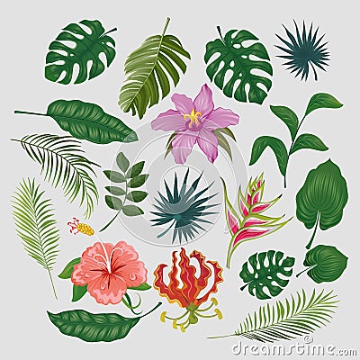 Cute tropical stickers and labels. Summer set of leaves and flowers. Vector illustration Vector Illustration