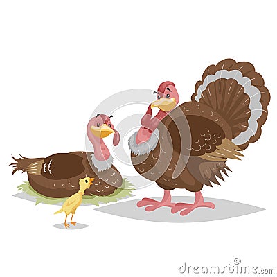 Cute turkey famile. Male and female turkey. Little turkey chicken. Farm bird. Domestic animals scene. Vector illustration Vector Illustration