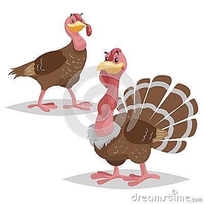 Cute turkey family. Male and female turkey. Farm bird. Domestic animals scene. Vector illustration Vector Illustration