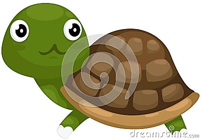 Cute turtle Vector Illustration