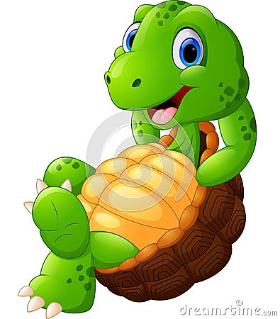 Cute turtle cartoon posing Vector Illustration