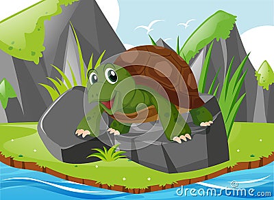 Cute turtle standing on rocks Vector Illustration