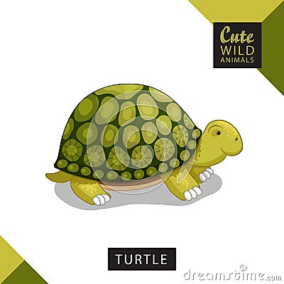 A cute turtle. Vector illustration from wild animals series. A picture for children`s educational books, for a print on Vector Illustration