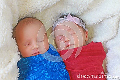 Cute twins sleeping Stock Photo