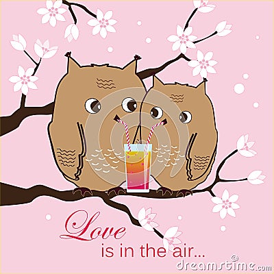 Cute two owls sitting on a tree. Owlets drinking cocktail. Gomantic background. Vector illustration. Vector Illustration