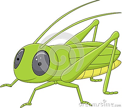 Cute valanga nigricornis posing isolated on white background Vector Illustration