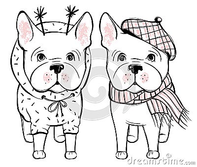 Cute vector dog in winter clothes. Fashion French bulldog puppy. Vector Illustration