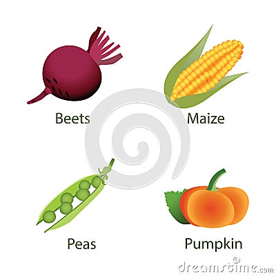 Cute vegetables, Gardening set, vector flat icons. Vector Illustration