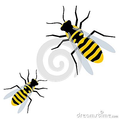 Cute wasps flat vector isolated on white background Vector Illustration