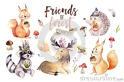 Cute watercolor bohemian baby cartoon hedgehog, squirrel and moose animal for nursary, woodland isolated forest Cartoon Illustration