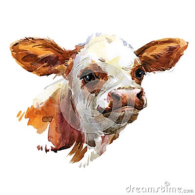 Cute watercolor calf. Baby bull illustration. cattle. farm animal. Cartoon Illustration