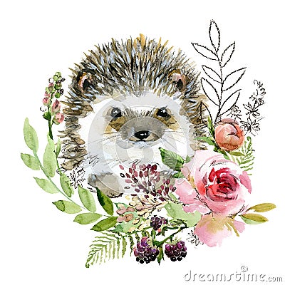 Cute watercolor cartoon hedgehog. forest animal illustration. Cartoon Illustration