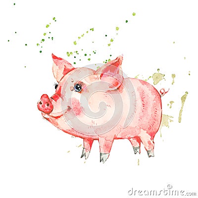 Cute watercolor piggy isolated on white background Cartoon Illustration