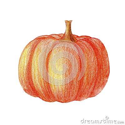 Cute watercolor pumpkin illustration. Hand drawn autumn hygge harvest Halloween Cartoon Illustration