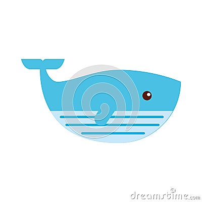 Cute whale isolated icon Vector Illustration