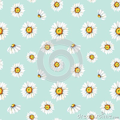 Cute white chamomile on a light blue background. Watercolor Abstract seamless pattern Cartoon Illustration