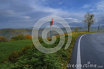 Cute white and gray bunny muzzle close-up across red texture background. Domestic pet.Curvy road across mountains, road mirror, an Stock Photo