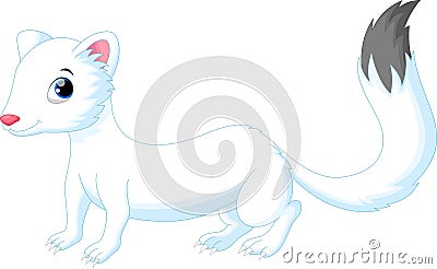 Cute white Least Weasel Stock Photo
