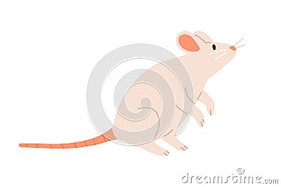 Cute white mouse standing on back paws and sniffing. Rat with long tail and little ears. Childish animal character Vector Illustration