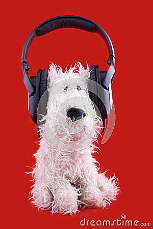 Cute white toy dog in headphones Stock Photo