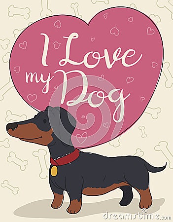 Cute Dachshund with Heart Affectionate with its Master, Vector Illustration Vector Illustration