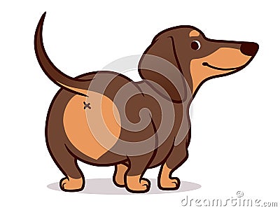 Cute wiener sausage dog cartoon illustration isolated on white. Simple drawing of friendly chocolate and tan dachshund Cartoon Illustration