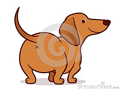 Cute wiener sausage dog cartoon illustration isolated on white. Simple drawing of friendly tan dachshund puppy, rear view Cartoon Illustration