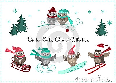 Cute winter owls banner. Baby birds and sport Vector Illustration