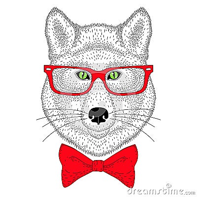 Cute wolf portrait, face with bow tie, glasses. Hand drawn anthropomorphic fashion animal illustration for t-shirt print, kids gr Vector Illustration