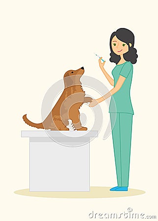 Cute woman veterinarian examines dog breed golden retriever. In his hand he holds a syringe. Vector Illustration