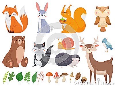 Cute woodland animals. Wild animal, forest flora and fauna elements isolated cartoon vector illustration set Vector Illustration