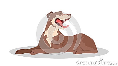 Cute yawning sleepy dog. Purebread pit bull lying. Vector Illustration