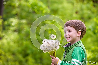 Cute 4 years old boy with dandelion outdoors at sunny summer day. Stock Photo