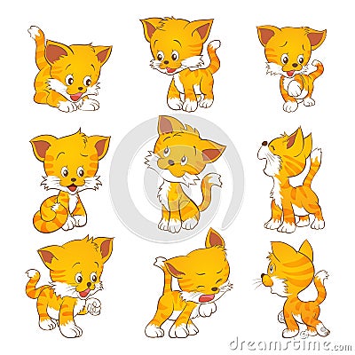 Cute yellow cat Vector Illustration
