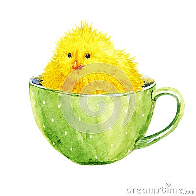 Cute yellow chick in a cup Stock Photo
