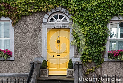Cute yellow entrance door in a house braided with ivy Stock Photo