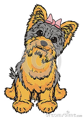 Cute yorkie girl Stock Photo