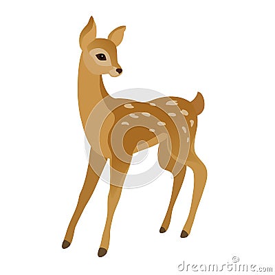 Cute young deer Vector Illustration