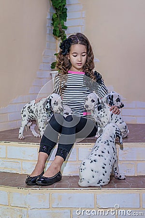 Cute young girl playing with puppies of dalmatian. Indoors. Studio portrait. Stock Photo