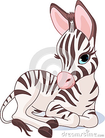 Cute Zebra Foal Vector Illustration