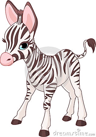 Cute Zebra Foal Vector Illustration