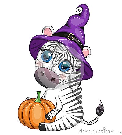 Cute zebra in witch hat, with broom, pumpkin jack, magic potion. Poster, card, label and decoration for Halloween Vector Illustration